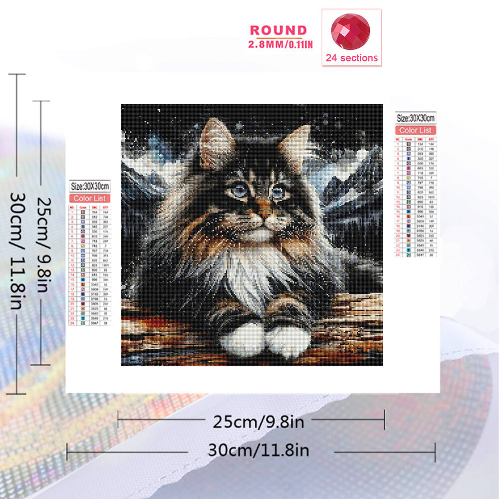1pc frameless  5D DIY Diamond  – Embroidery Ideas Bewertung und Preis